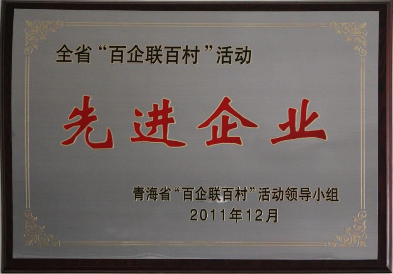 &ldquo;百企联百村活动&rdquo;先进企业