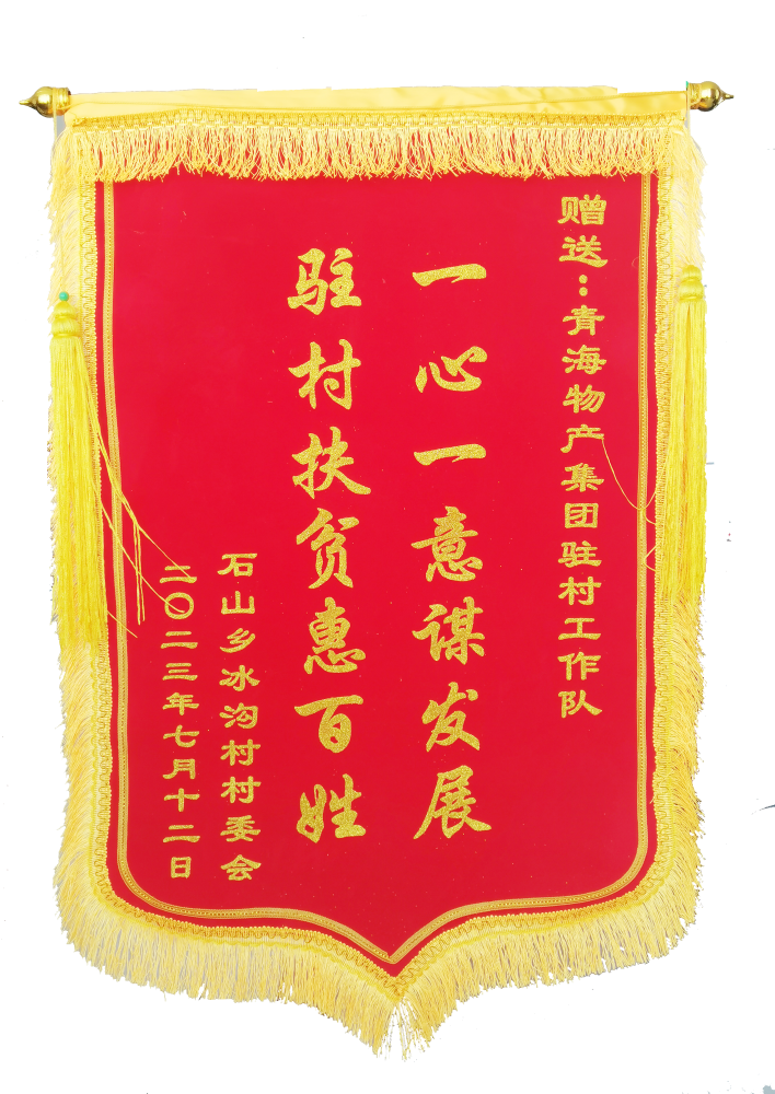 驻村帮扶惠百姓 情满冰沟暖人心 &mdash;&mdash;省物产集团驻村工作队期满离任获赠锦旗