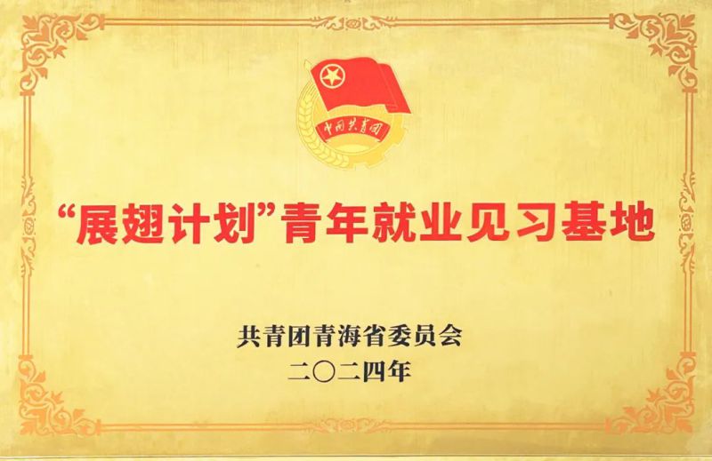 物产工投公司被团省委授予&ldquo;展翅计划&rdquo;首批青年就业见习基地