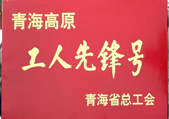 青海朝阳机电交易市场有限公司市场管理部荣获青海高原&ldquo;工人先锋号&rdquo;称号